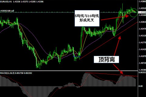 黄金交易信号