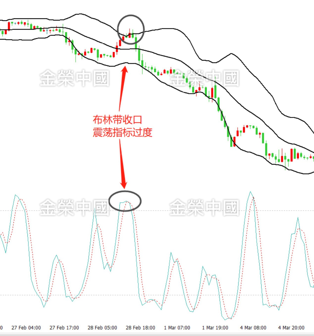 斐波那契分割线