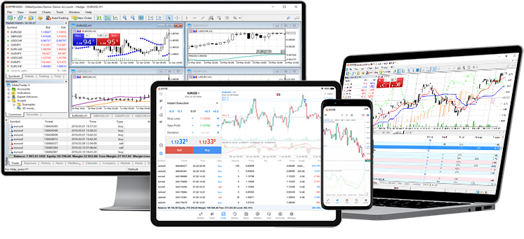 MT5 Trading Platform